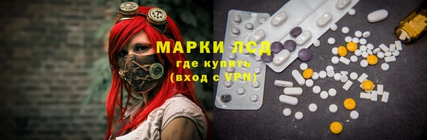 дурь Няндома