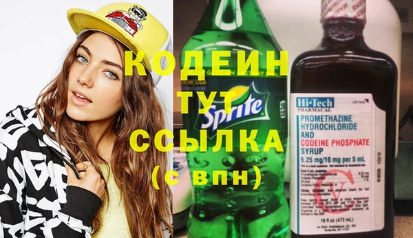 дурь Няндома