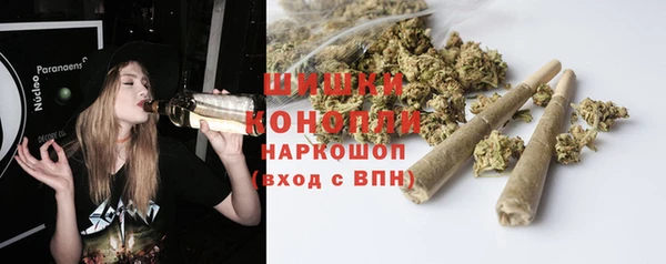 дурь Няндома