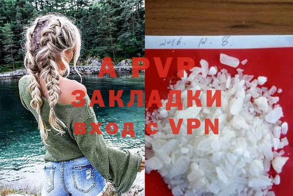 амф Шадринск