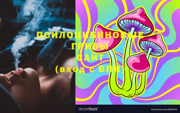 дурь Няндома