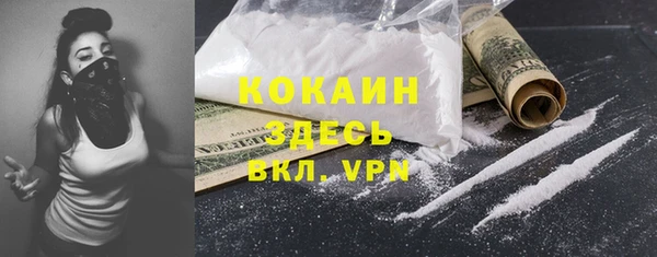 дурь Няндома