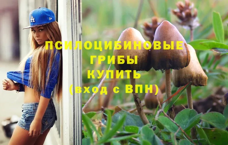 дарнет шоп  Губаха  Псилоцибиновые грибы мухоморы 