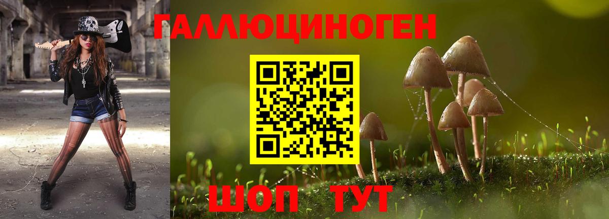 Губаха  Галлюциногенные грибы Cubensis  Вход с VPN  Галлюциногенные грибы мухоморы 