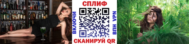 где найти наркотики  Губаха  Конопля ГИДРОПОН 